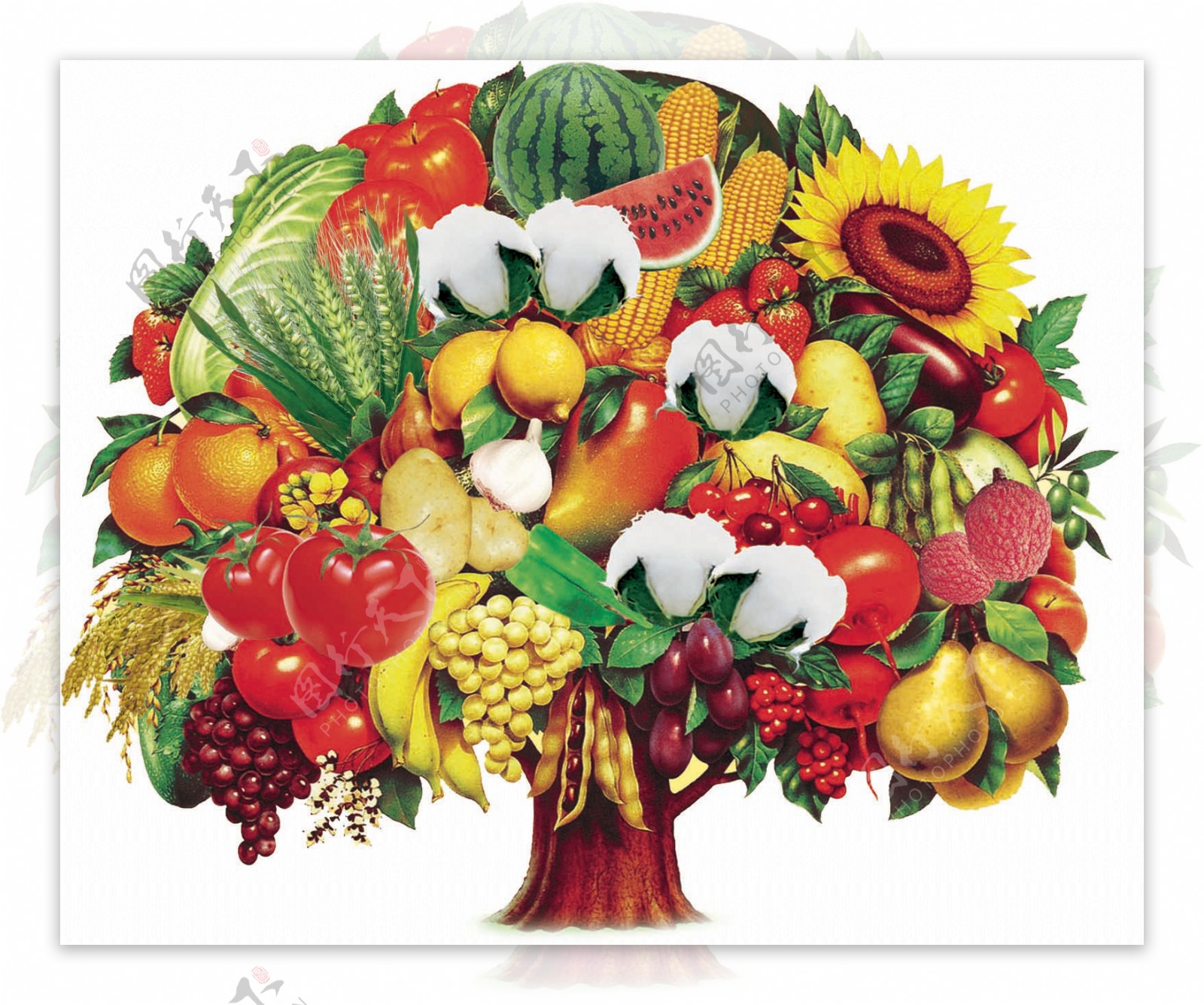 水果蔬菜树图片