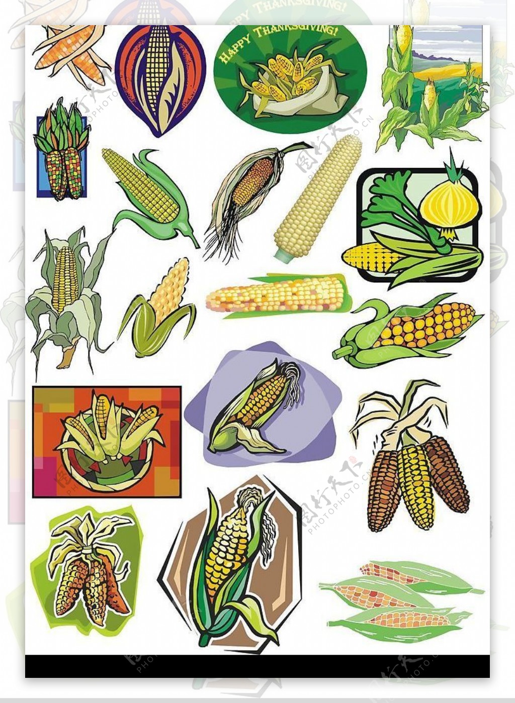 玉米玉蜀黍蔬菜图片