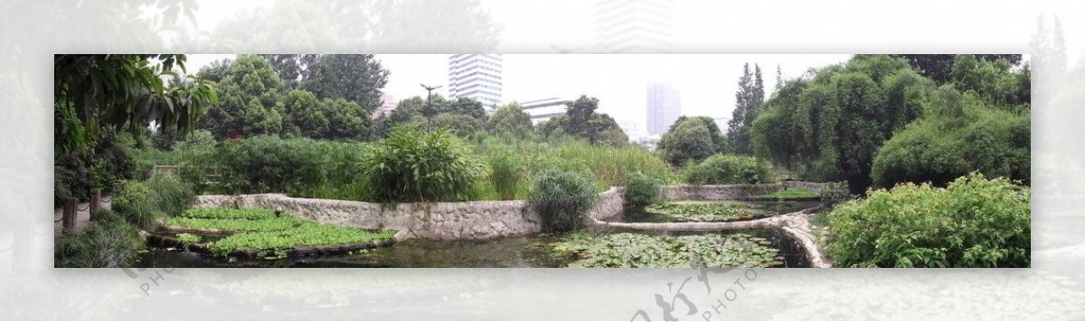 成都活水公园景观宽屏之二图片