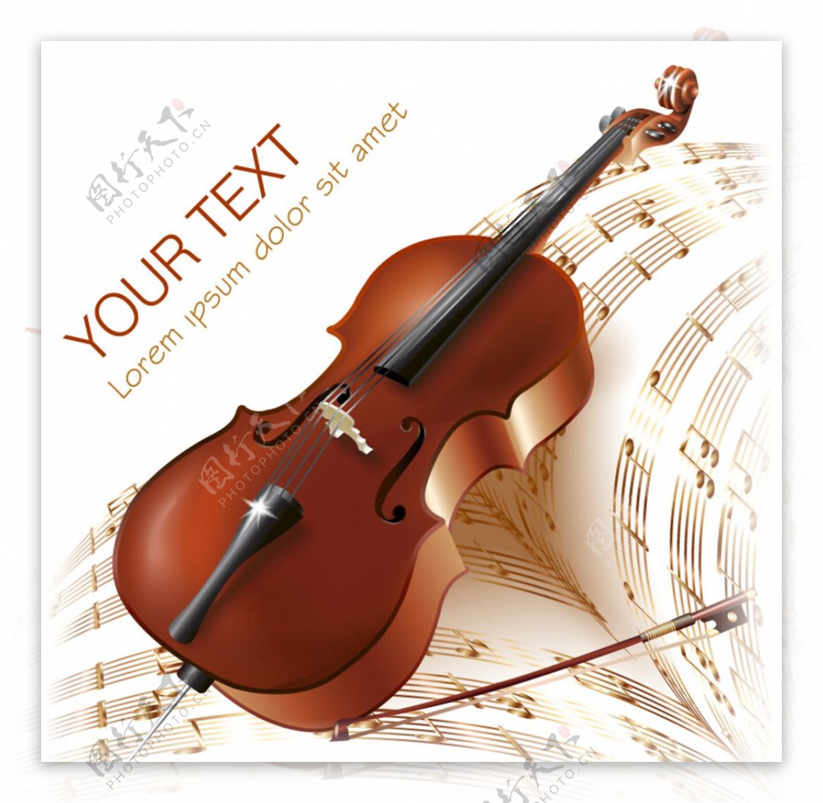 乐器大提琴图片