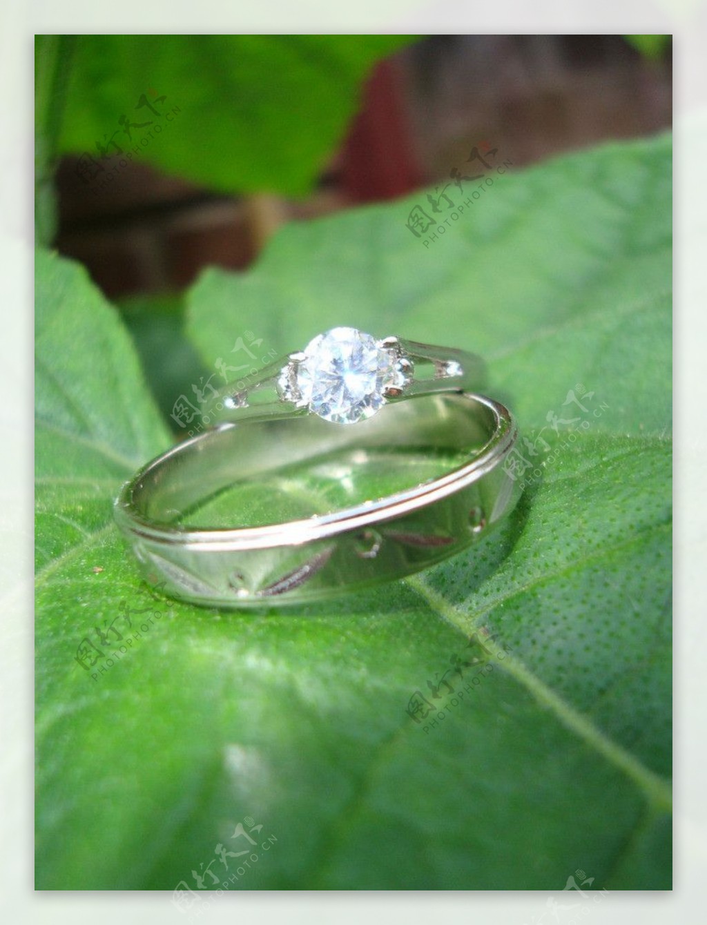 瓜藤订婚戒指图片