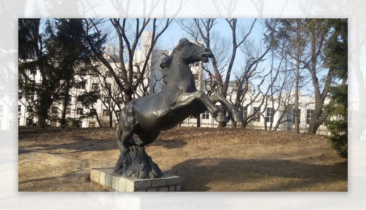 马雕塑图片