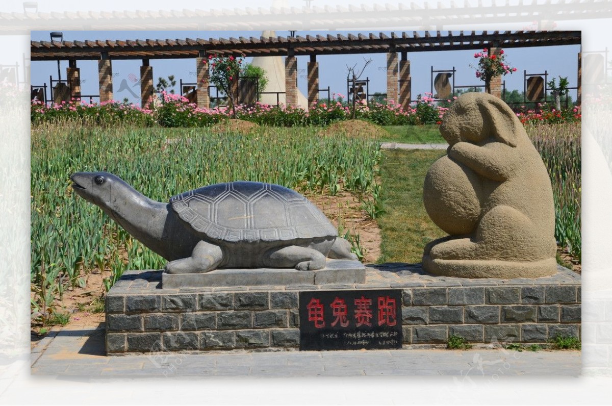 雕塑龟兔赛跑图片