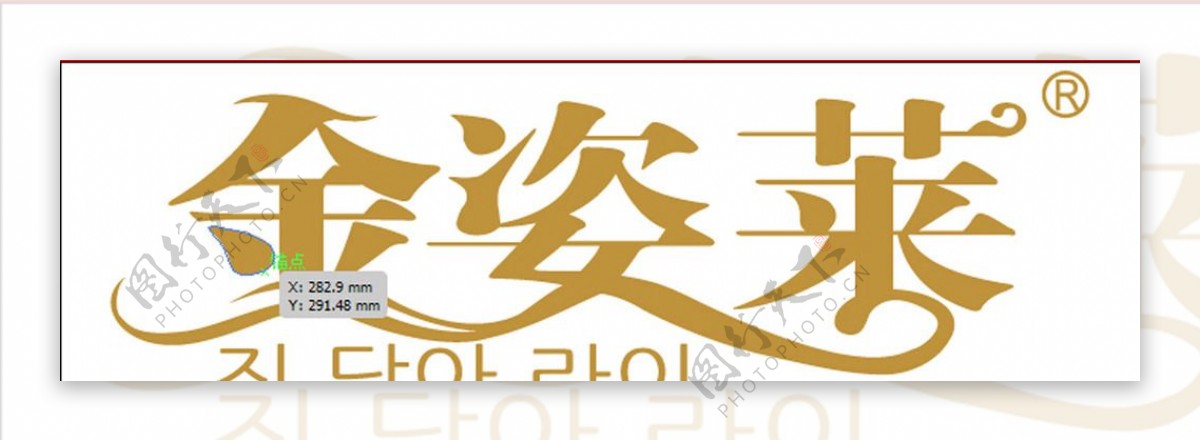 金姿莱logo图片