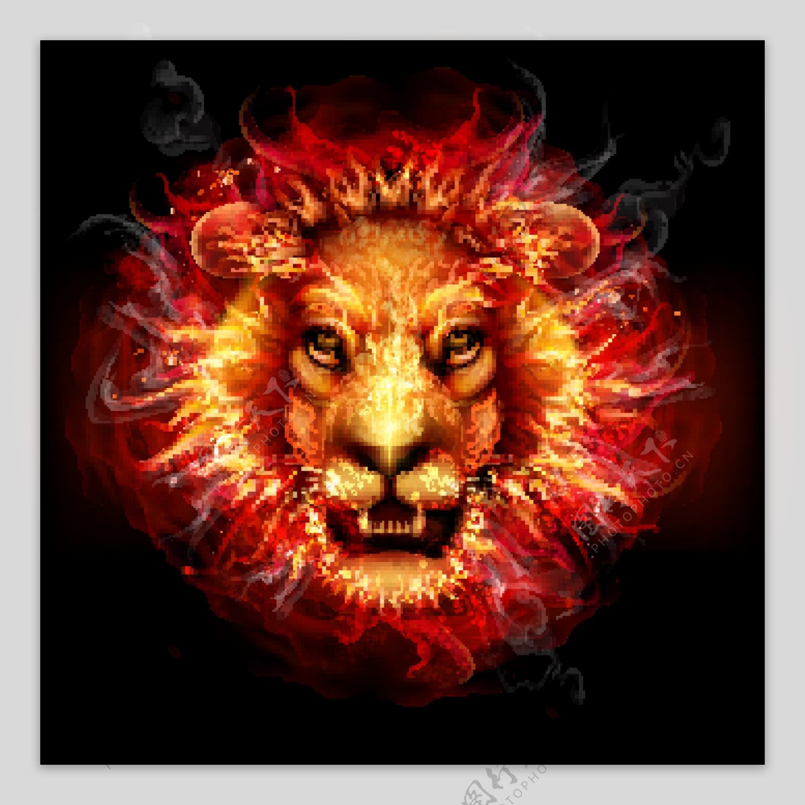 燃烧的火焰雄狮头图片