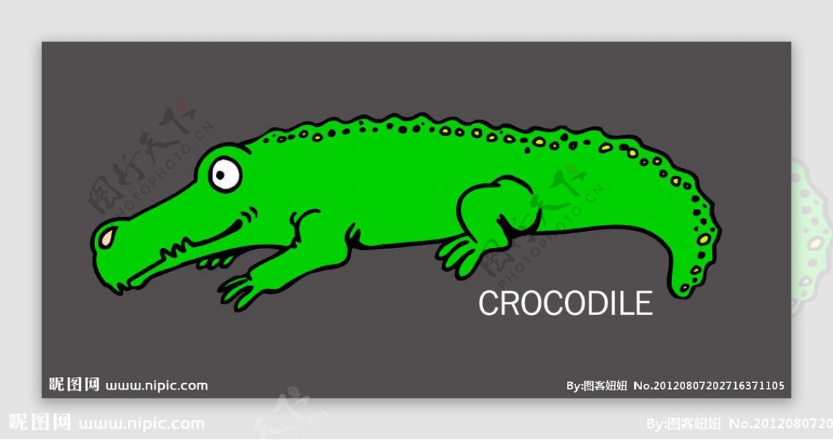 鳄鱼插画图片