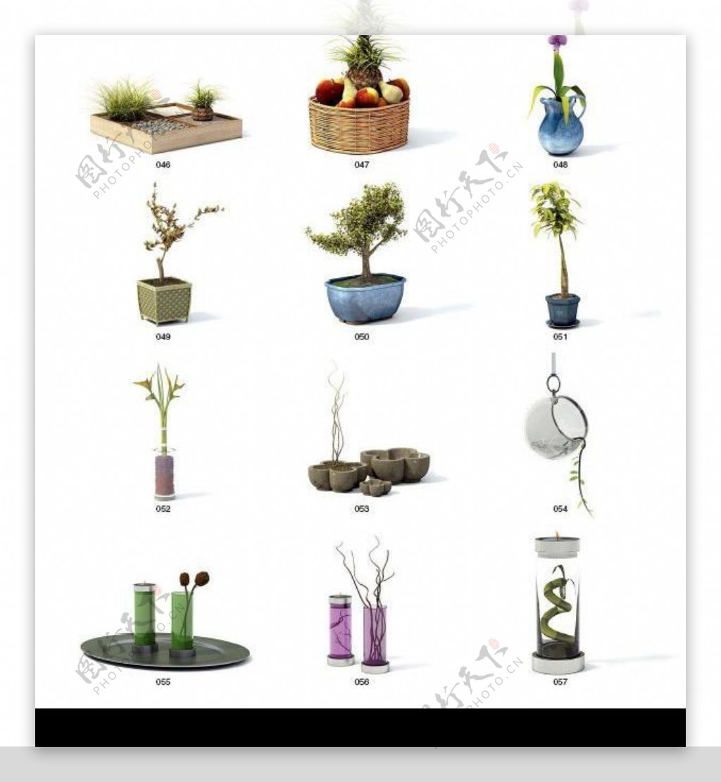 Vray高精度植物模型archmodel系列5图片