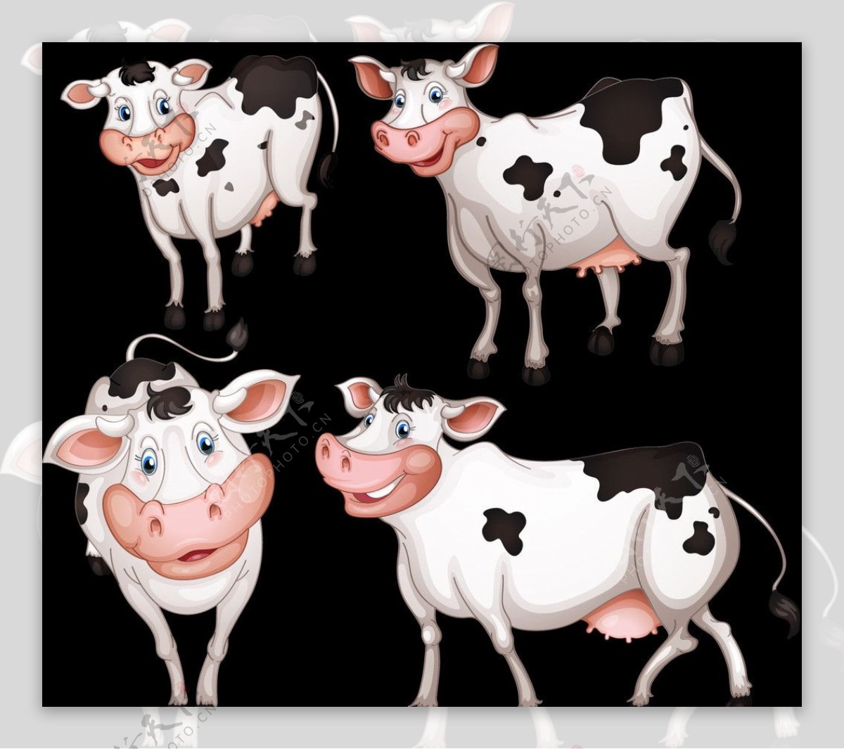 奶牛矢量素材图片