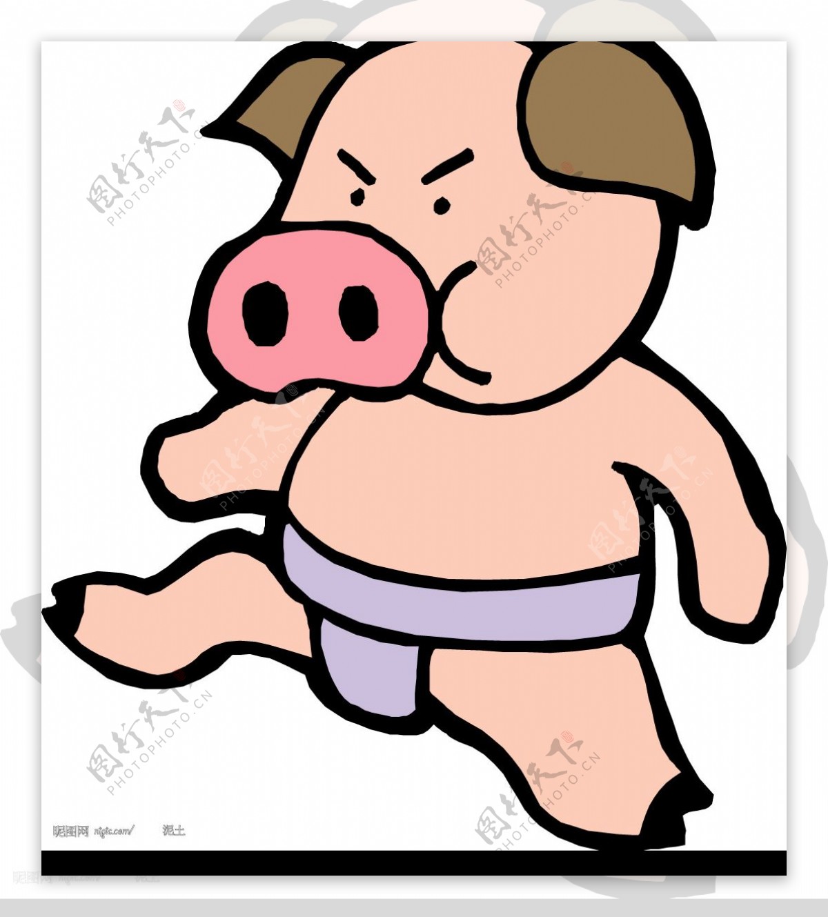 相扑猪图片
