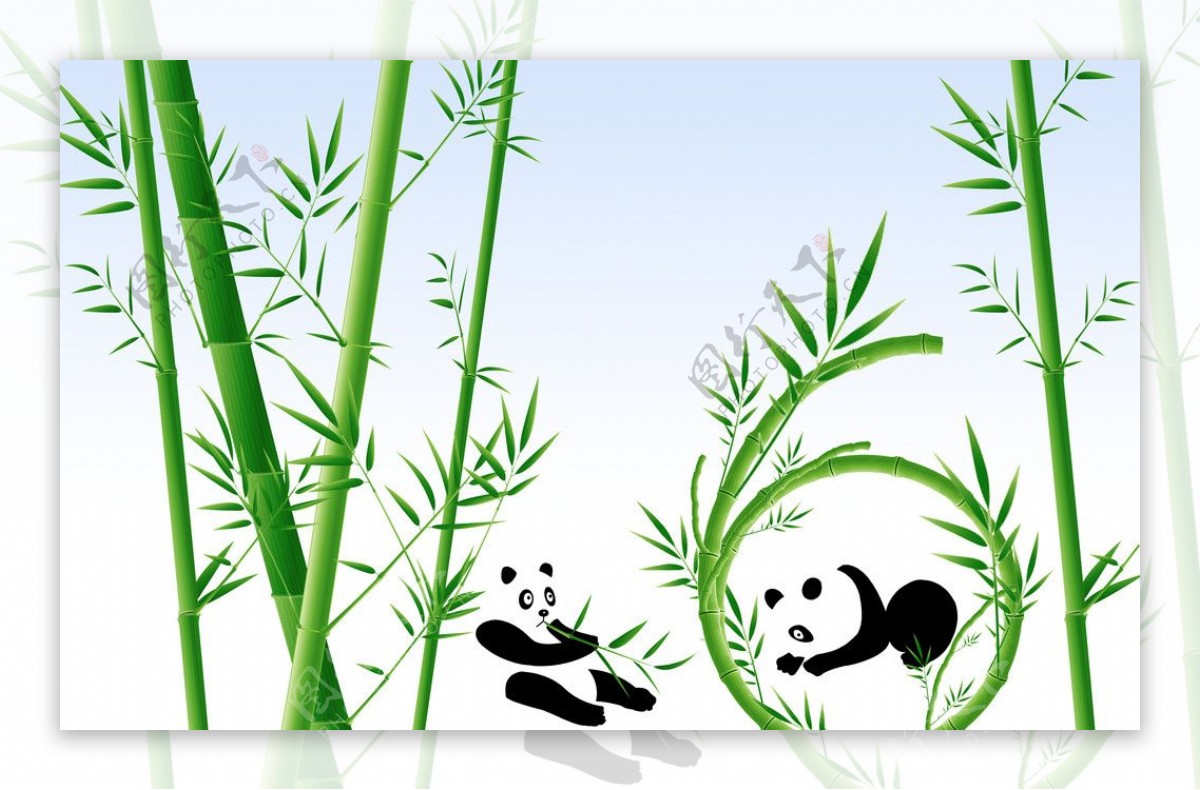 竹子与熊猫图片