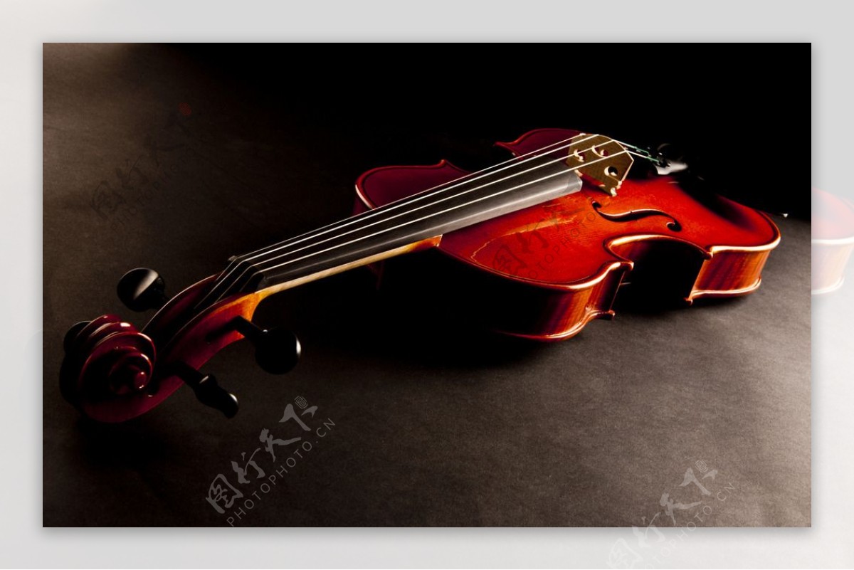 唯美小提琴图片