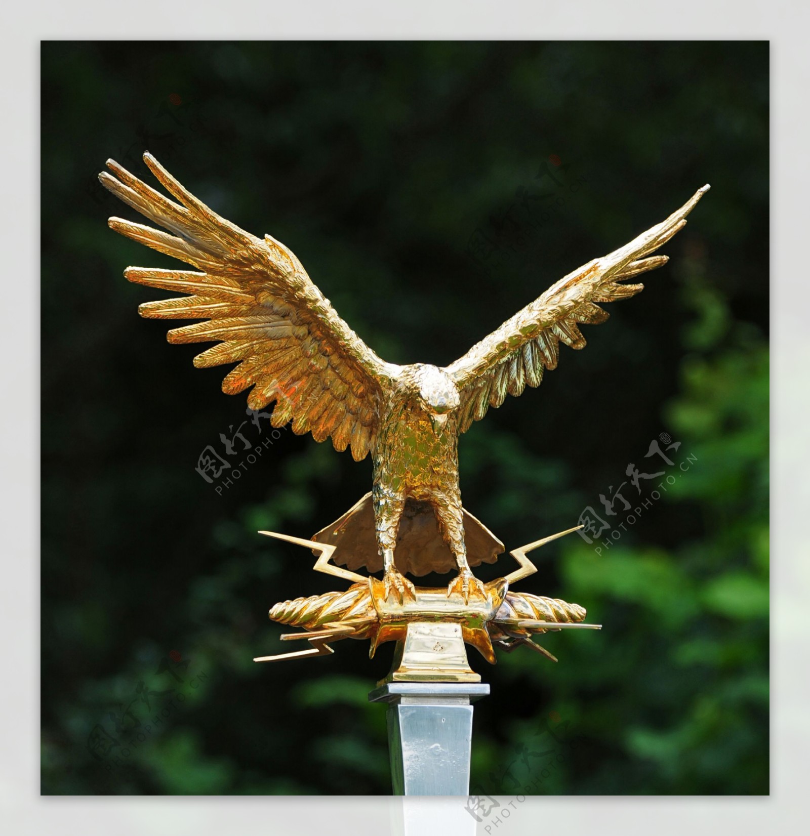 金鹰雕像图片
