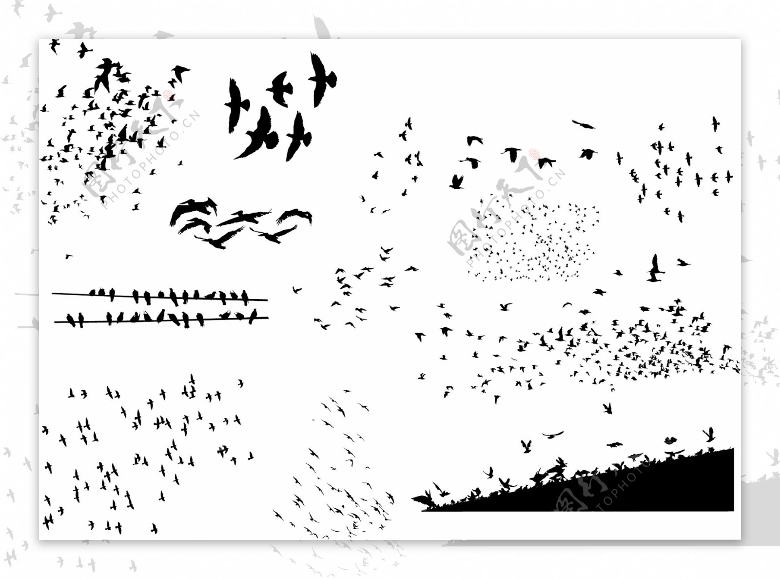 各类鸟剪影矢量图片