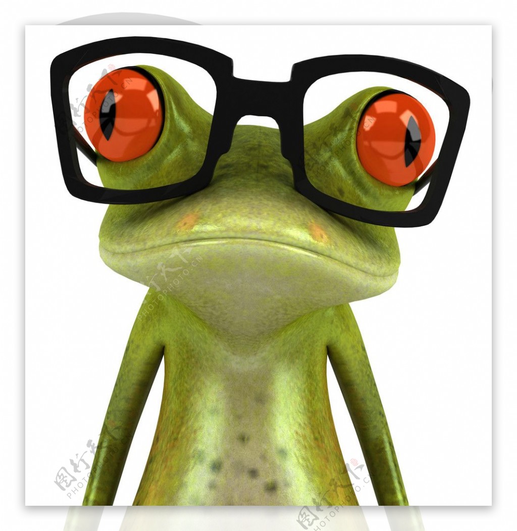 戴着眼镜的青蛙图片