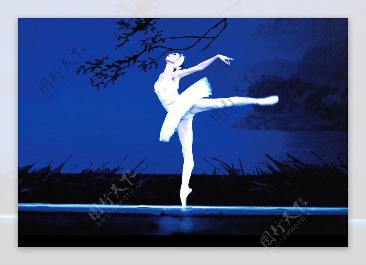 芭蕾舞天鹅湖1图片