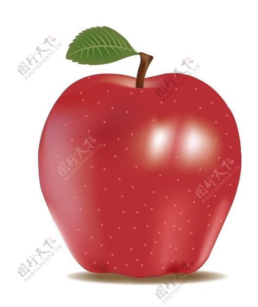 红苹果Apple图片