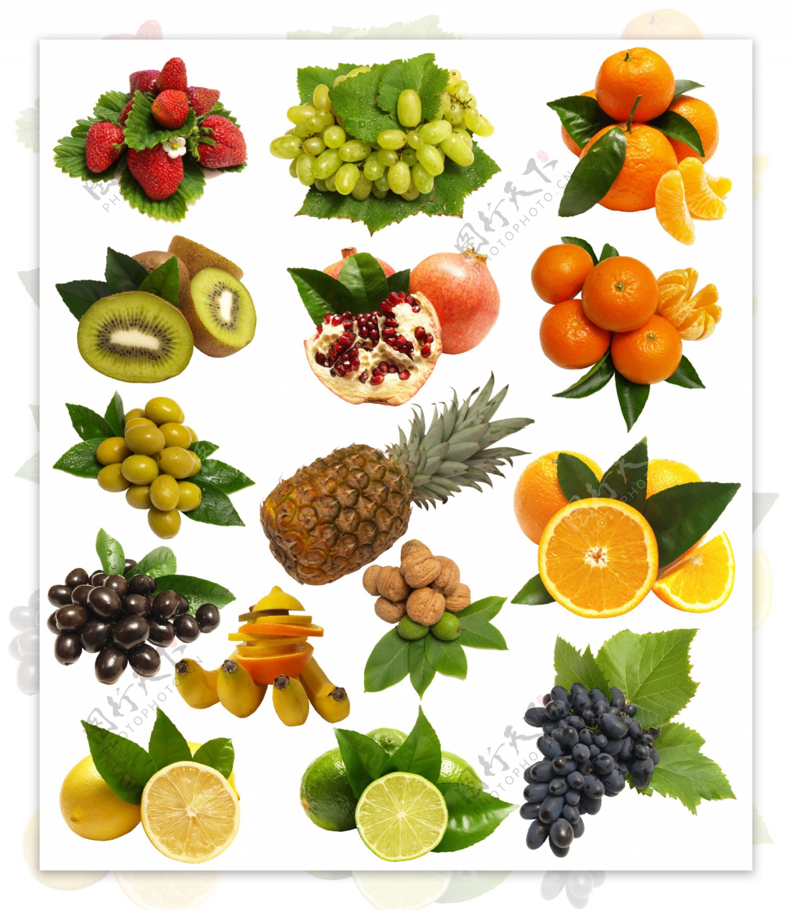 各种热带水果图片