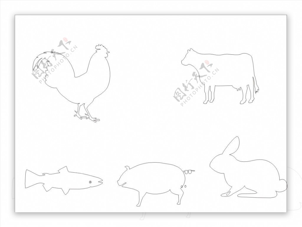 动物轮廓图图片