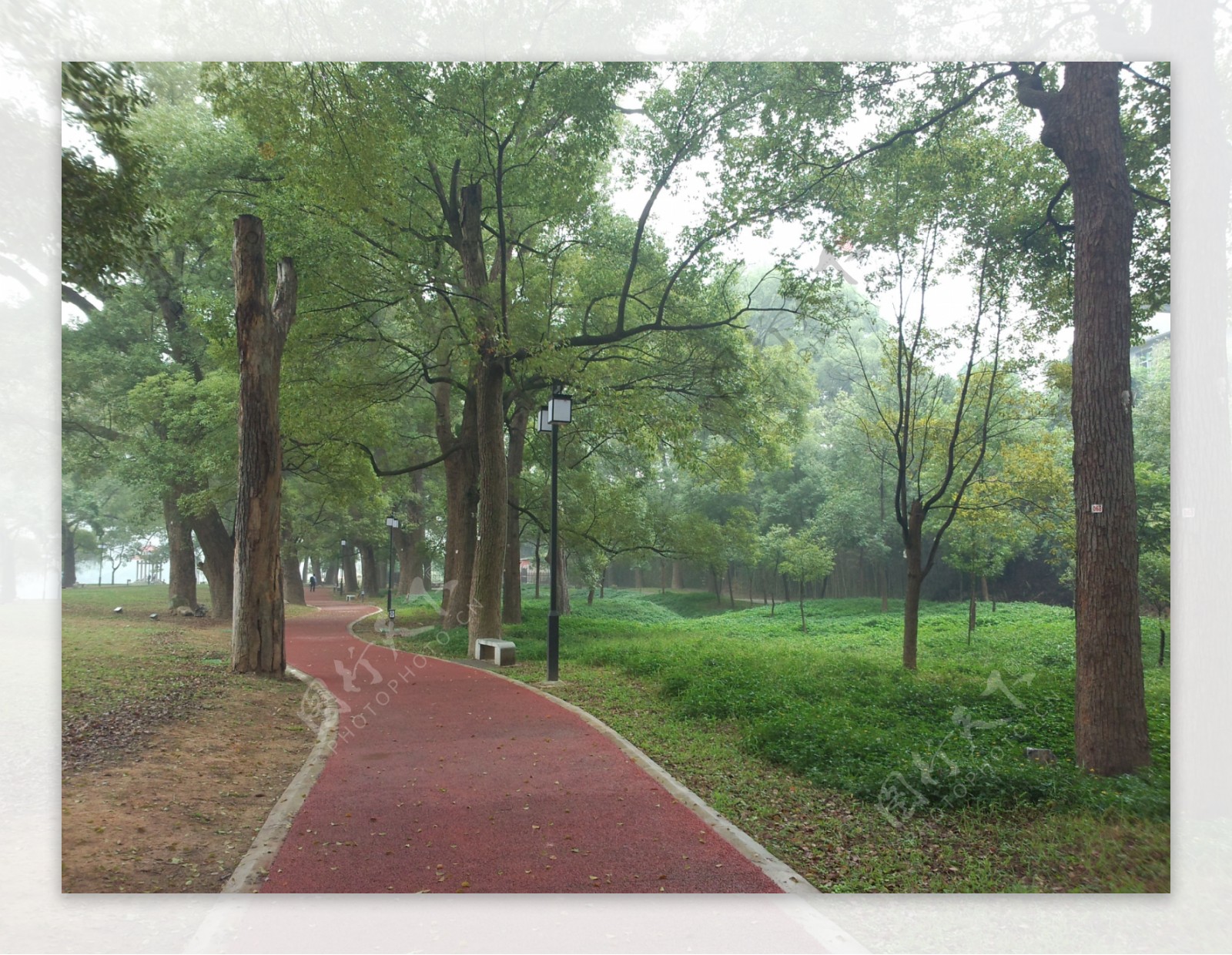漳平榉子公园图片