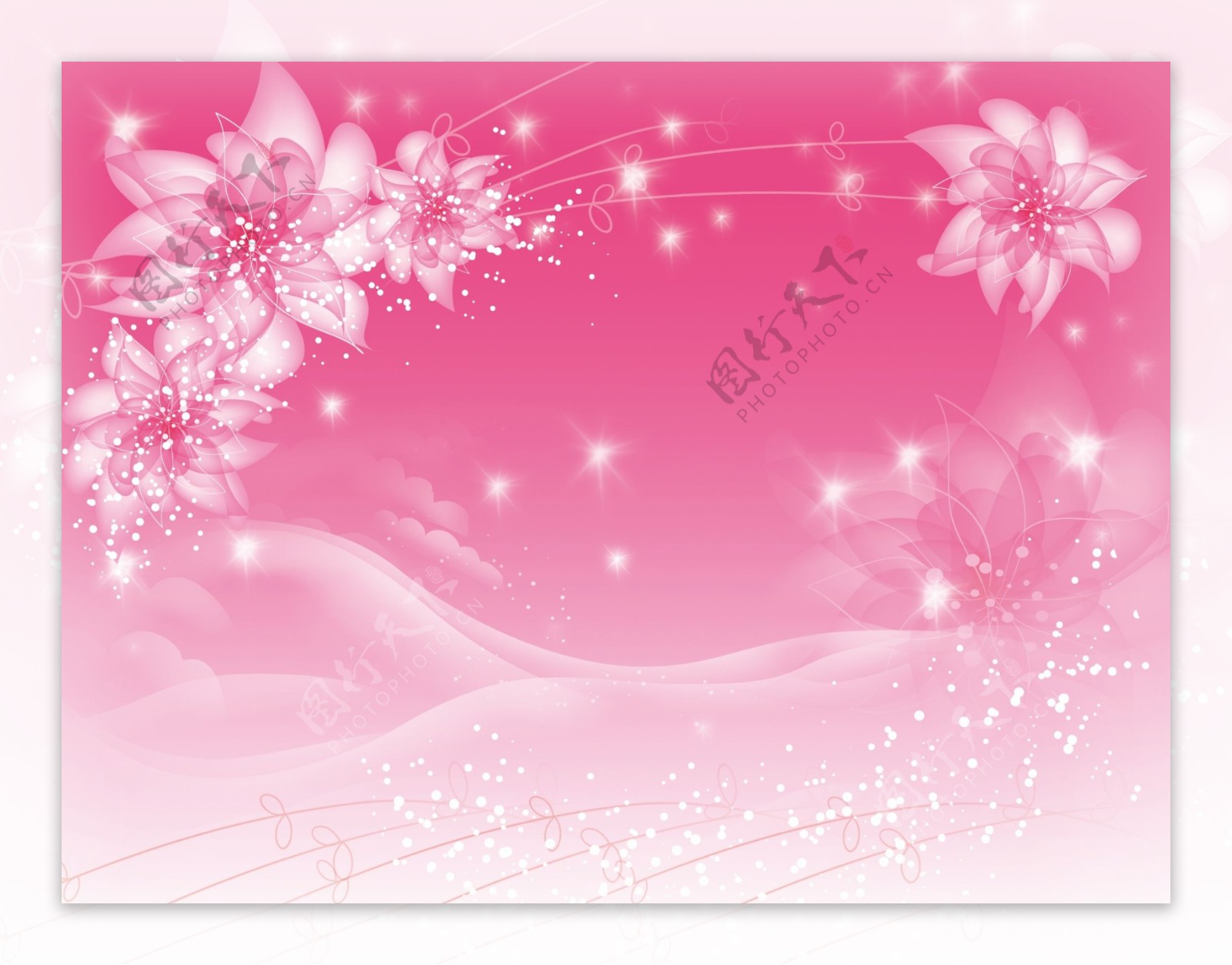 粉红花朵背景素材图片
