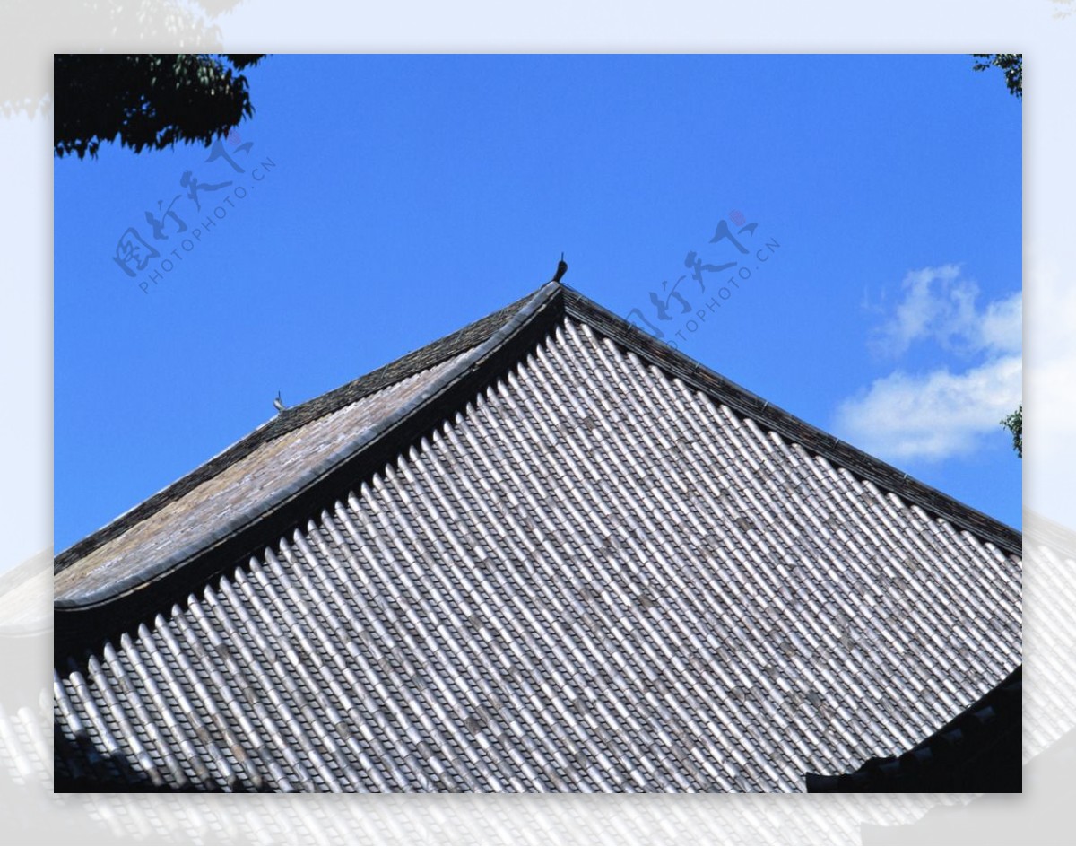 彩钢瓦屋顶图片