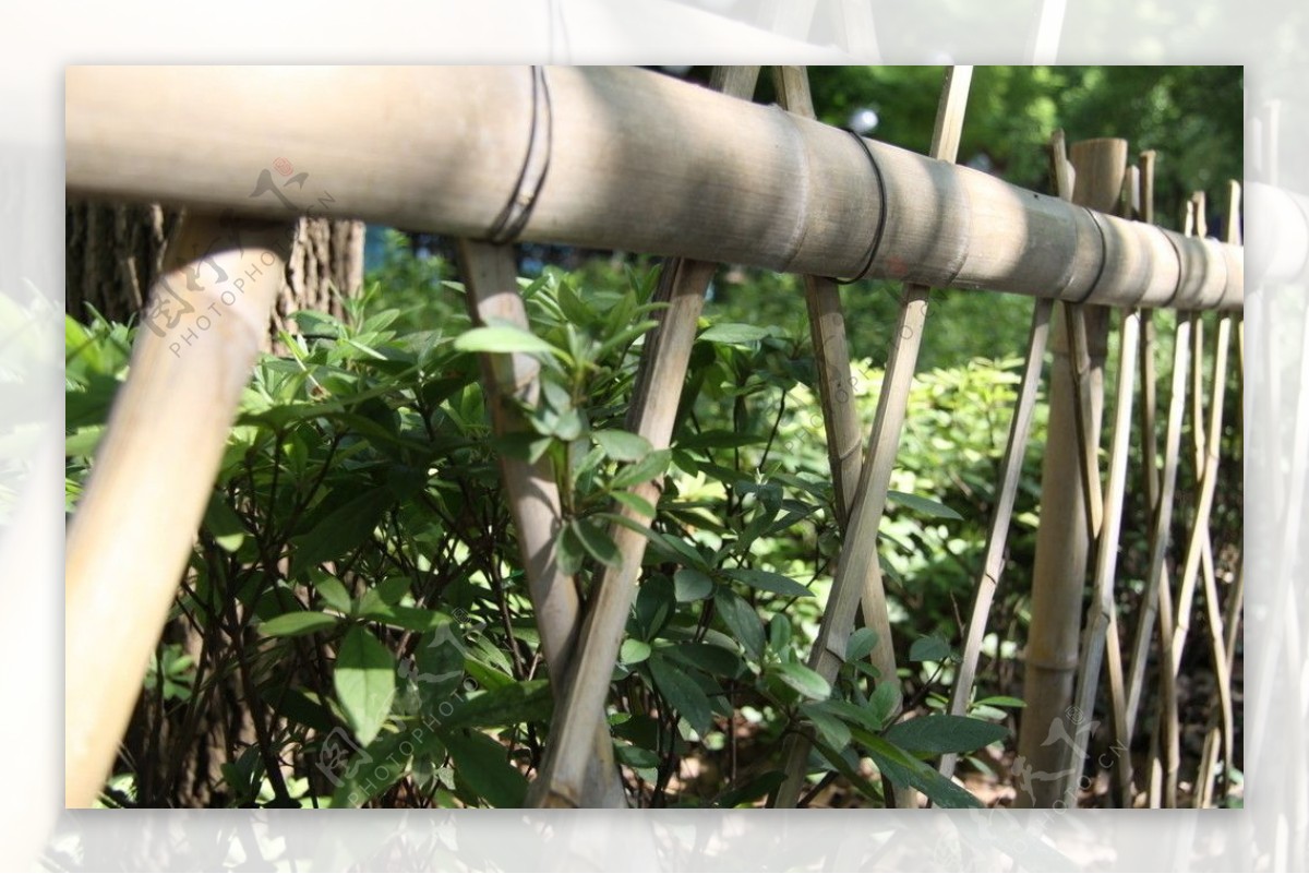 竹木栏杆图片
