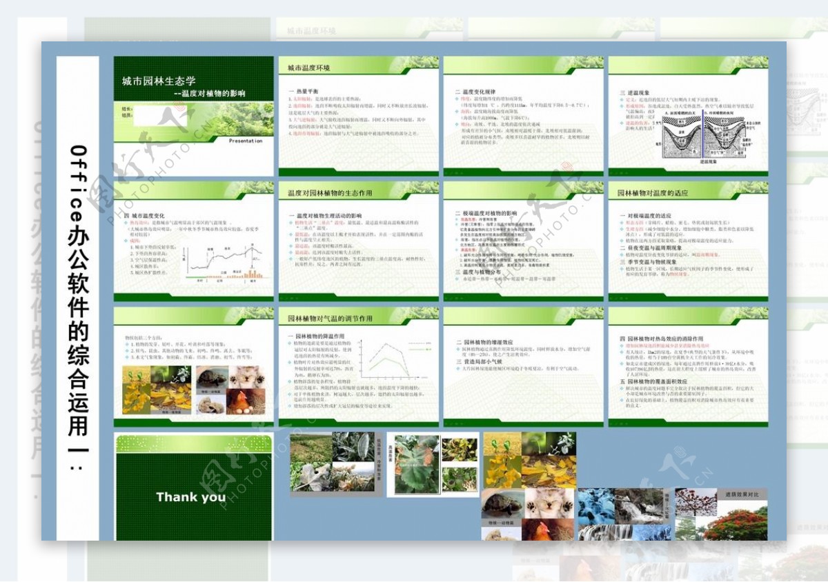 生态学文本排版图片