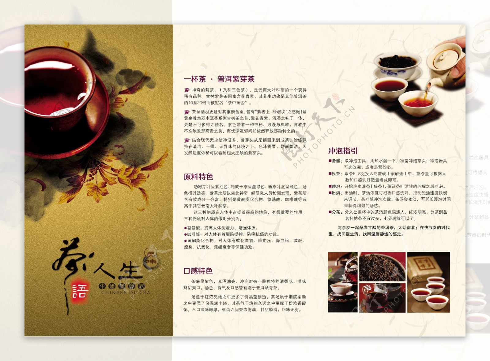 普洱茶宣传折页图片