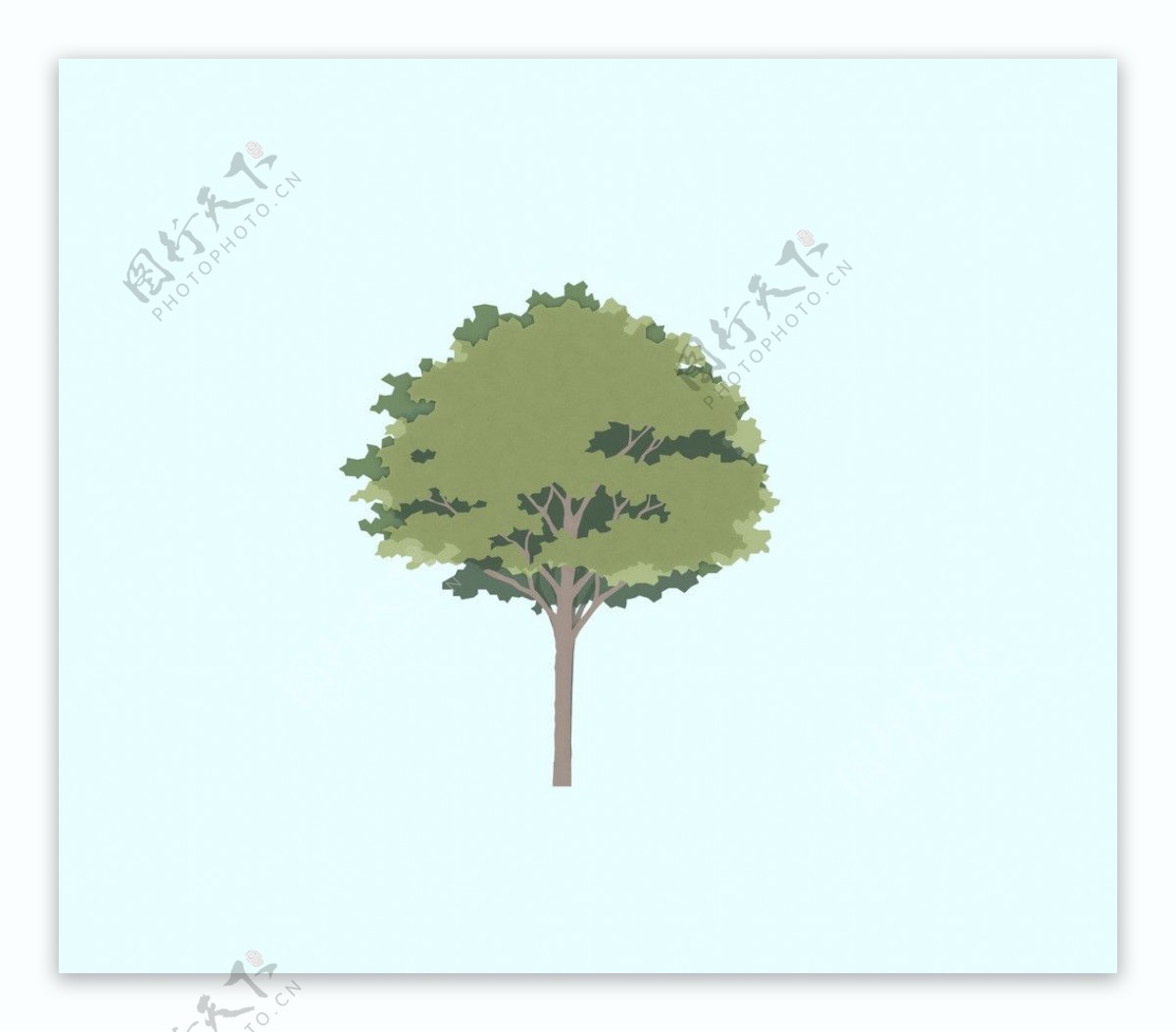 平面树图片