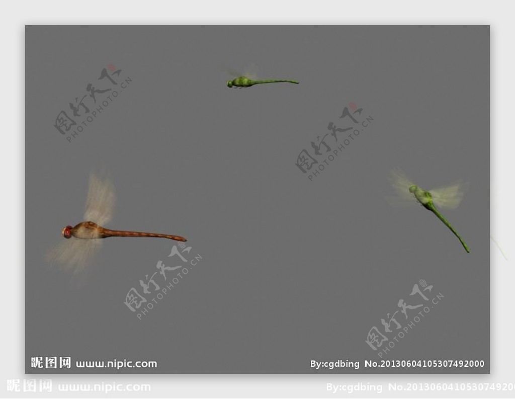 蜻蜓飞舞动画max9图片
