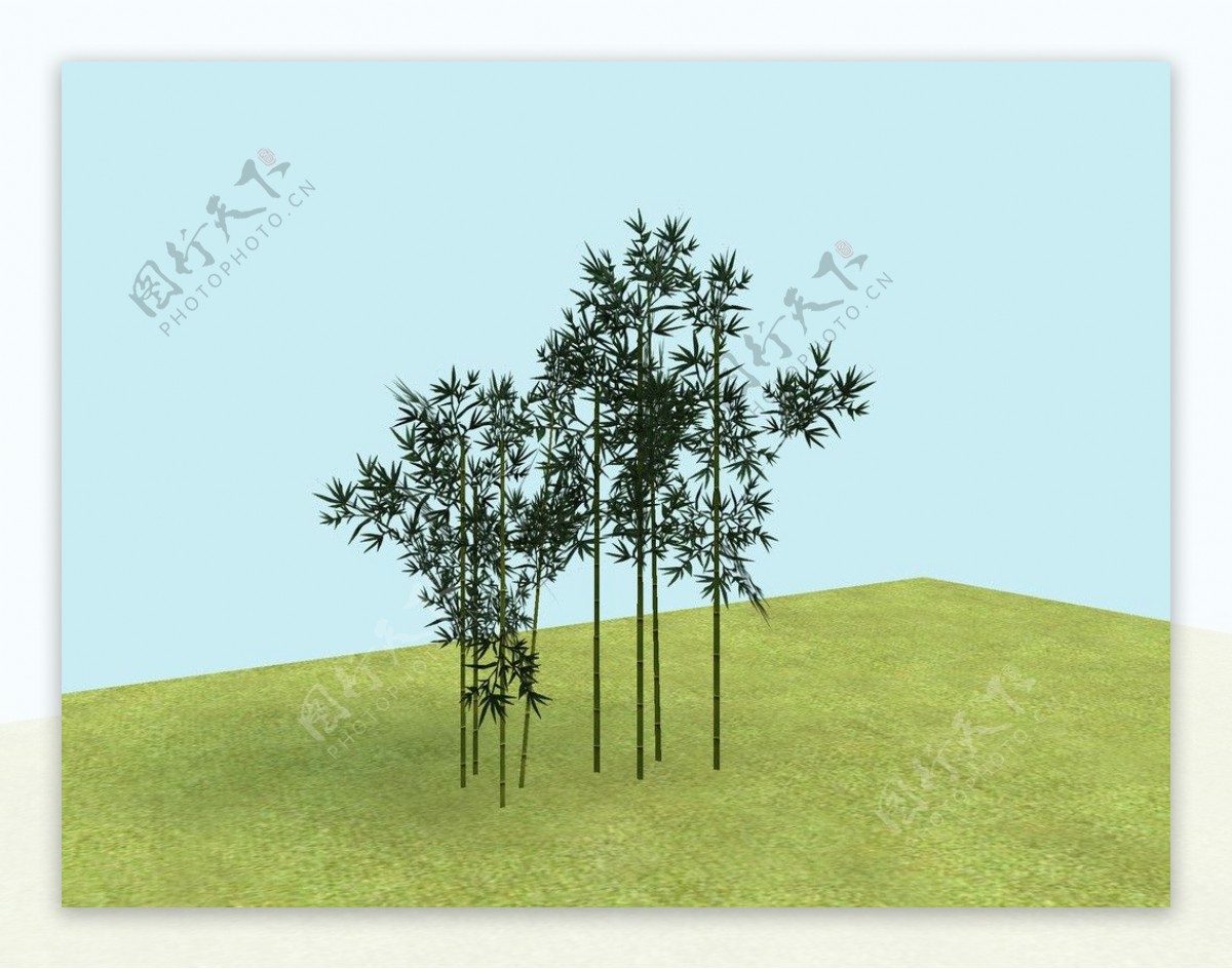 竹子模型图片