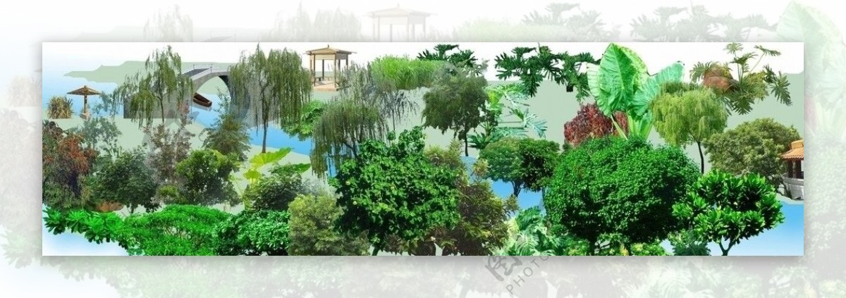水边景观植物图片