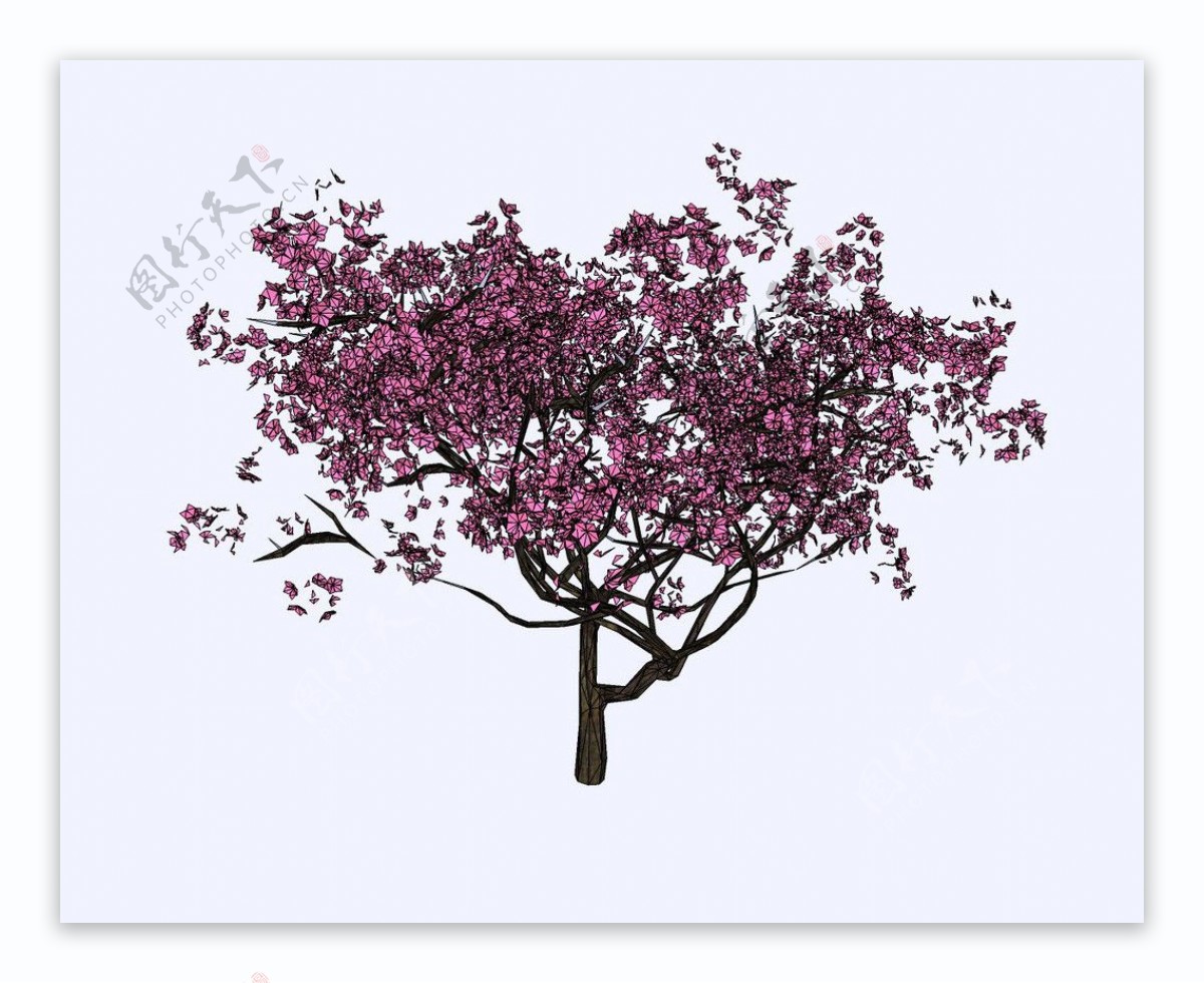 紫花树精细3D模型图片