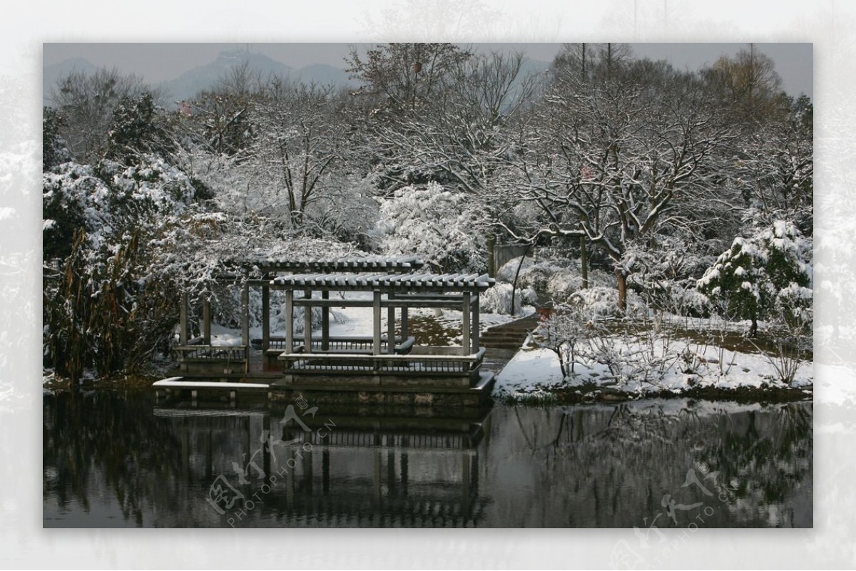 杭州花圃雪后初晴图片