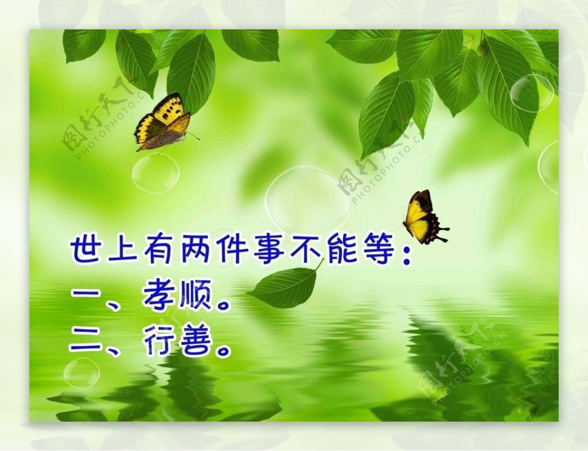 淡雅树叶蝴蝶背景图片