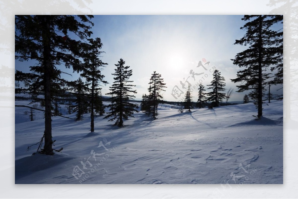 北海道美幌山颠雪原景色图片