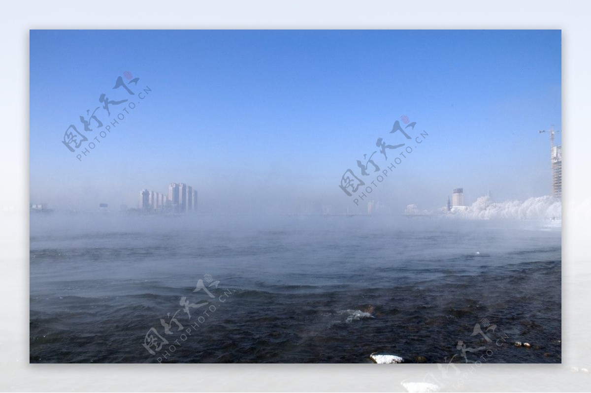江畔雾松图片