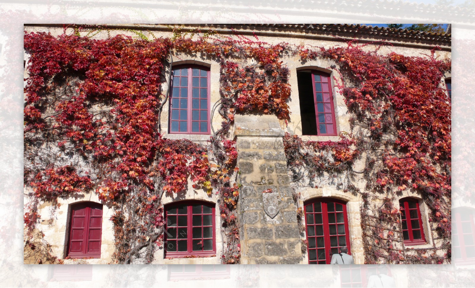 欧洲风景枫叶红房子图片