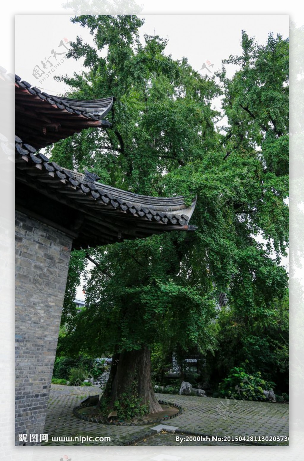 扬州八怪纪念馆图片