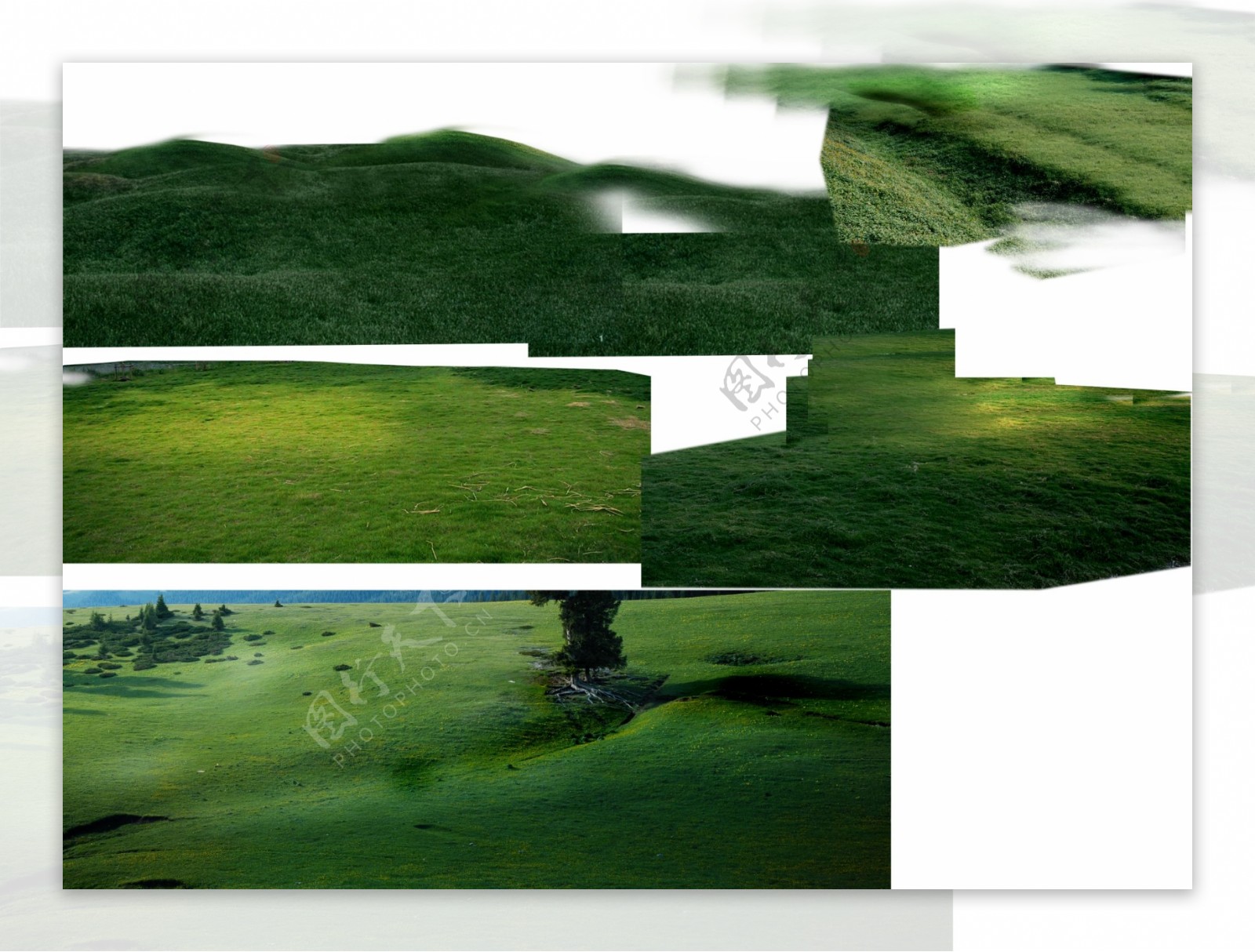 绿化土坡图片