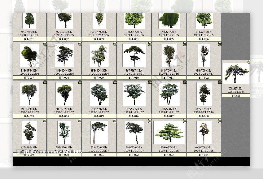 植物PSD图片