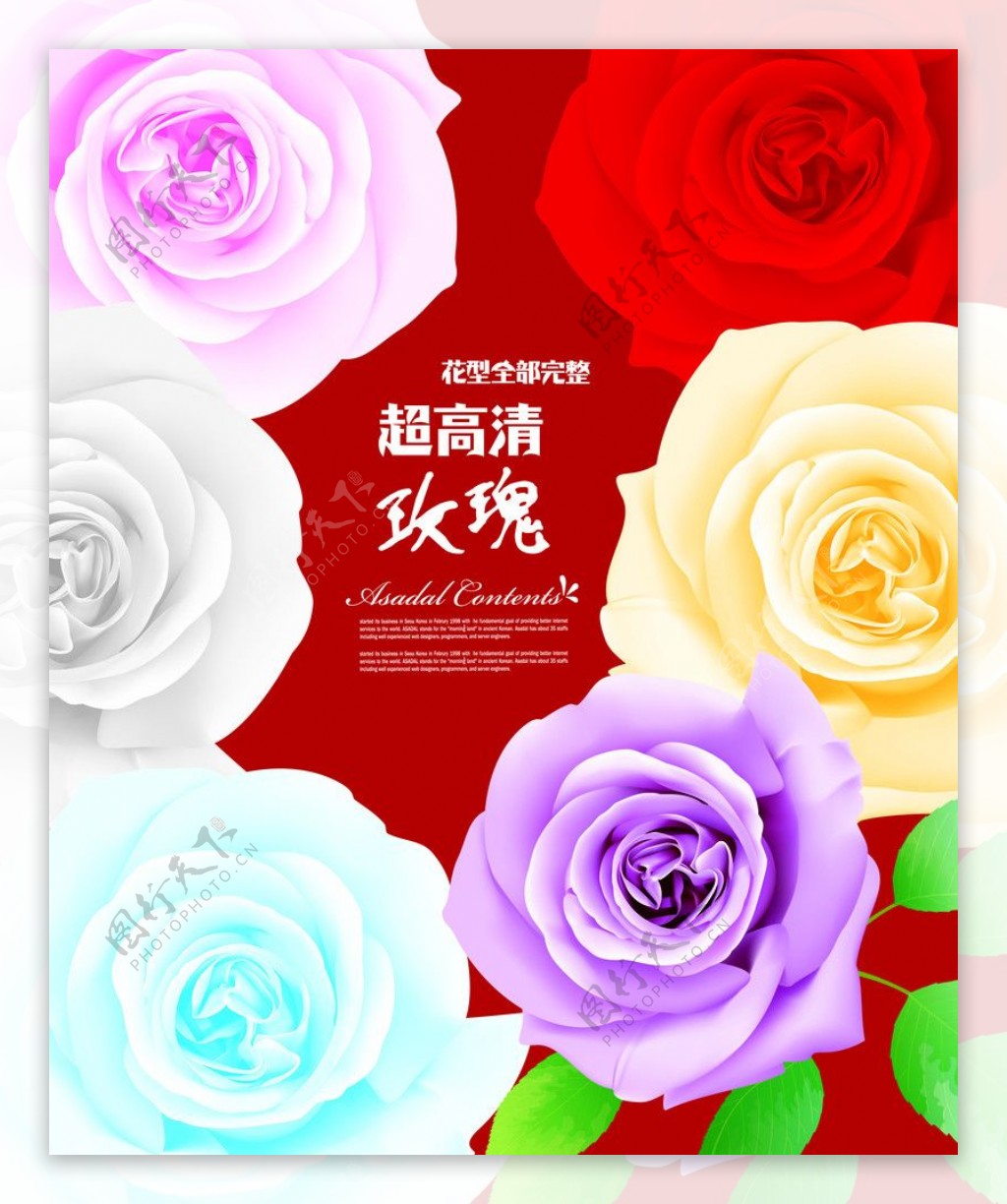 玫瑰花海报图片