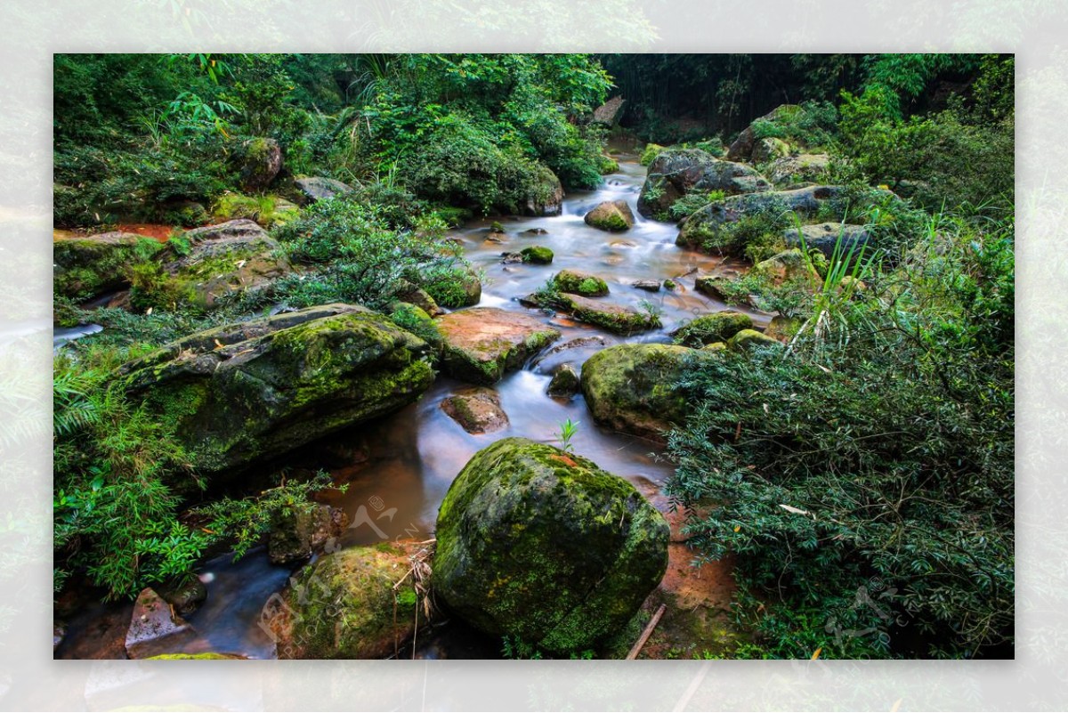 赤水四洞沟图片