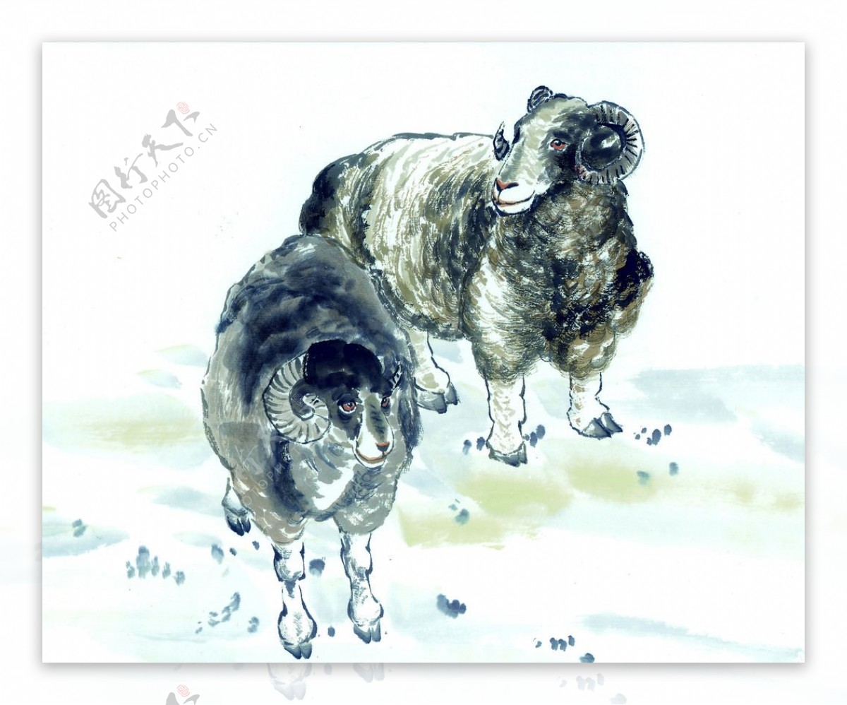 黑白十二生肖国画手绘羊图片