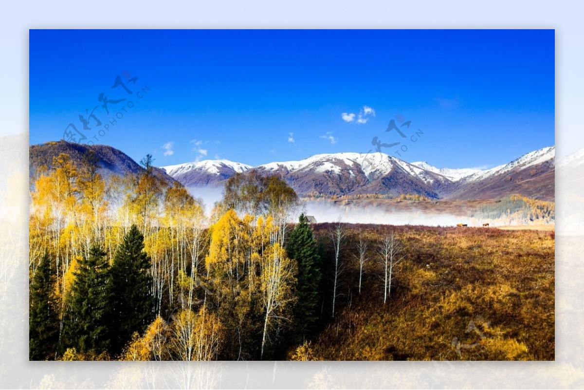 中国北疆雪山图片