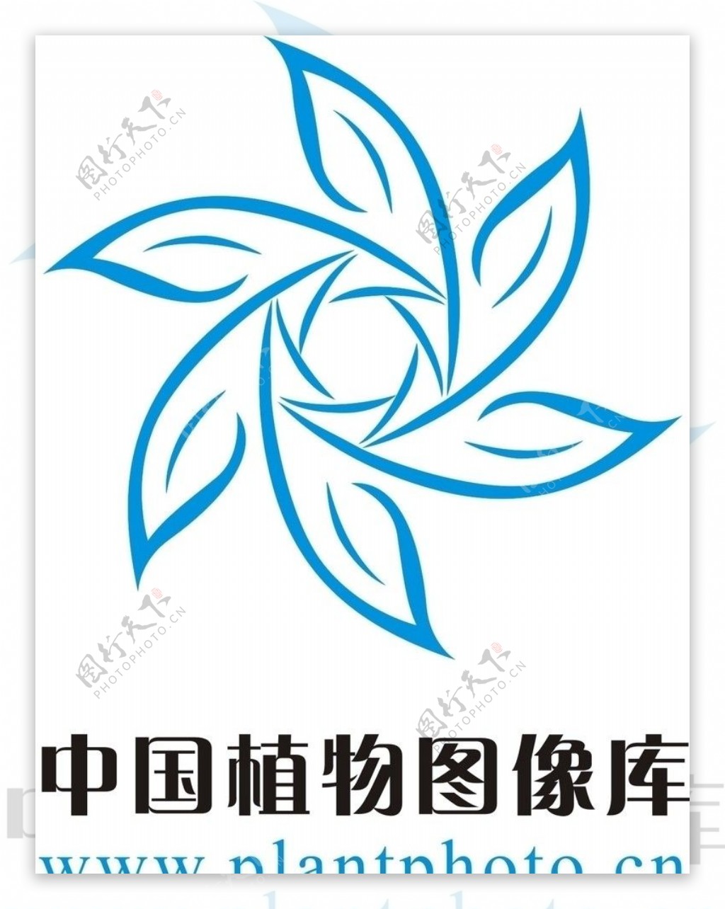 中国植物图像库图片