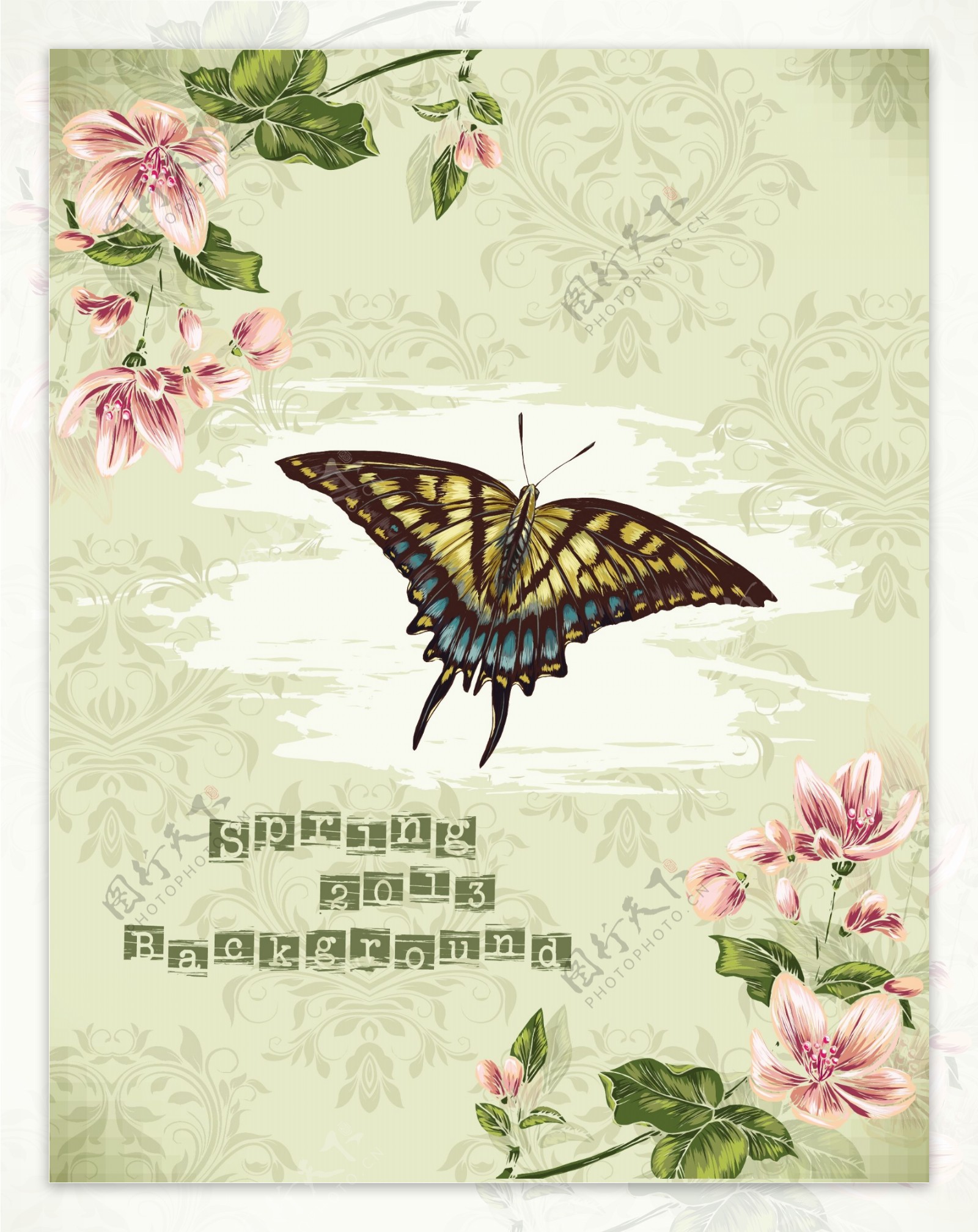 蝴蝶图案设计图片