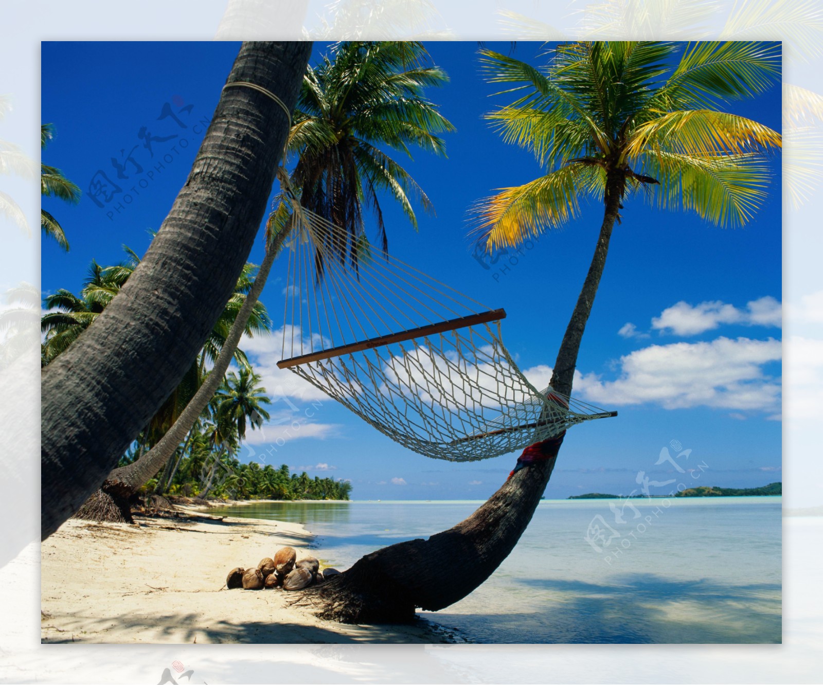 海边椰树风景图片素材-编号39685375-图行天下