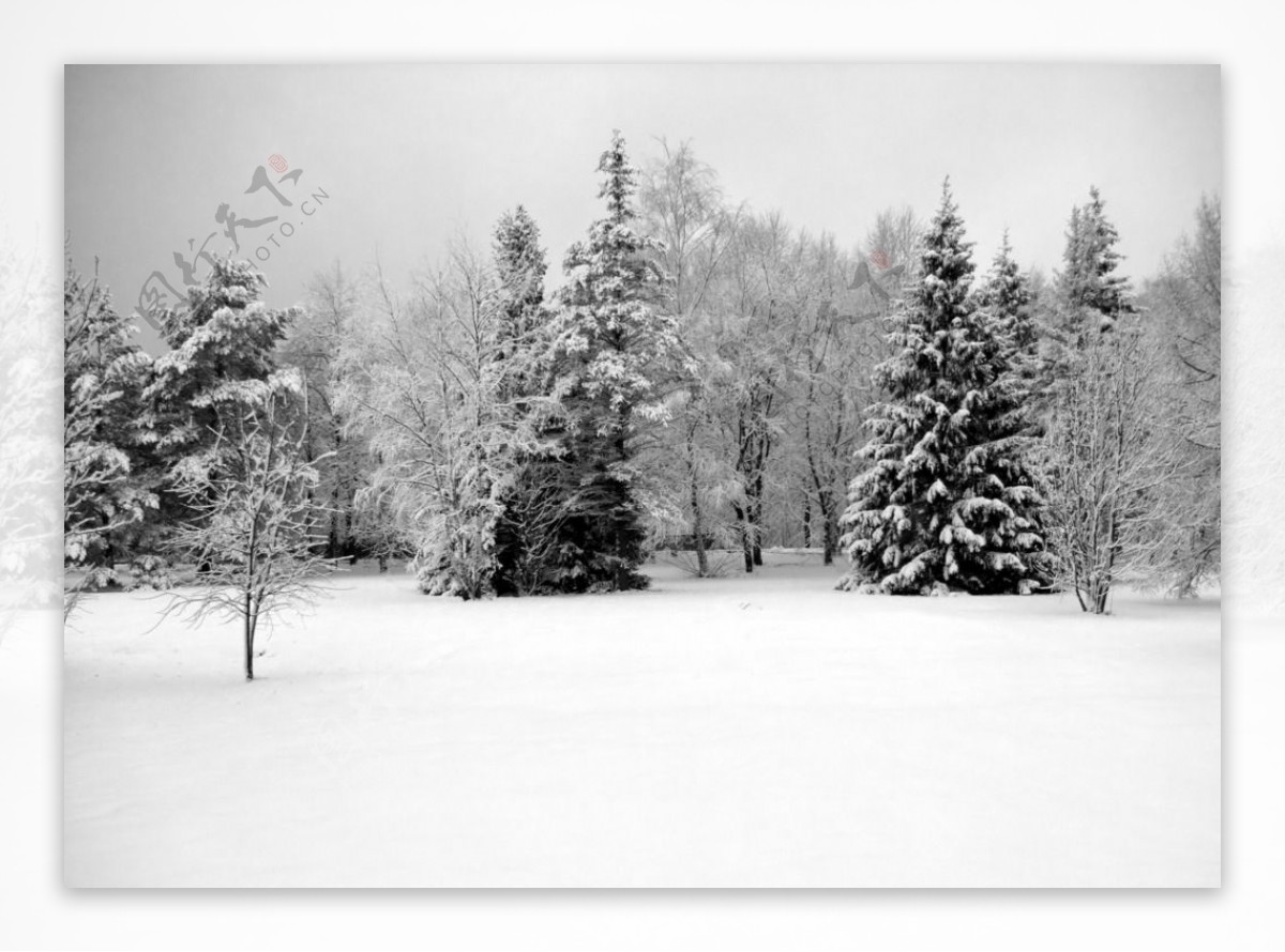 冬天雪景图片素材