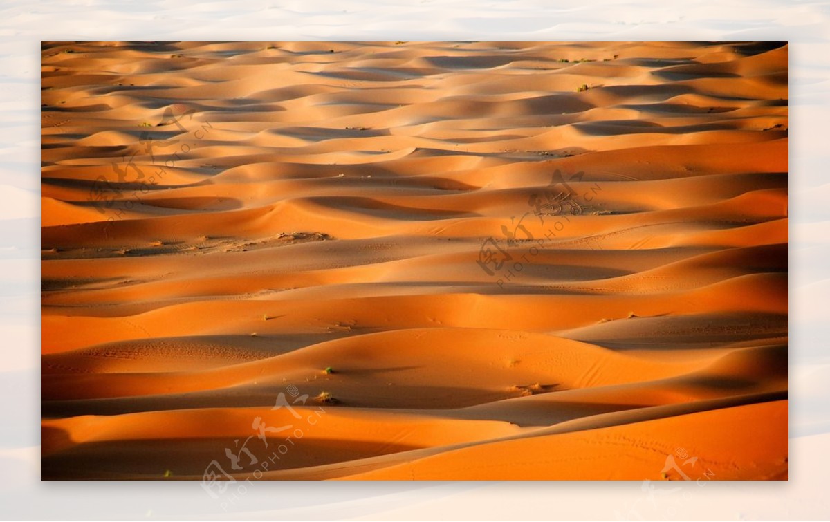 干旱大地沙漠自然风景图片